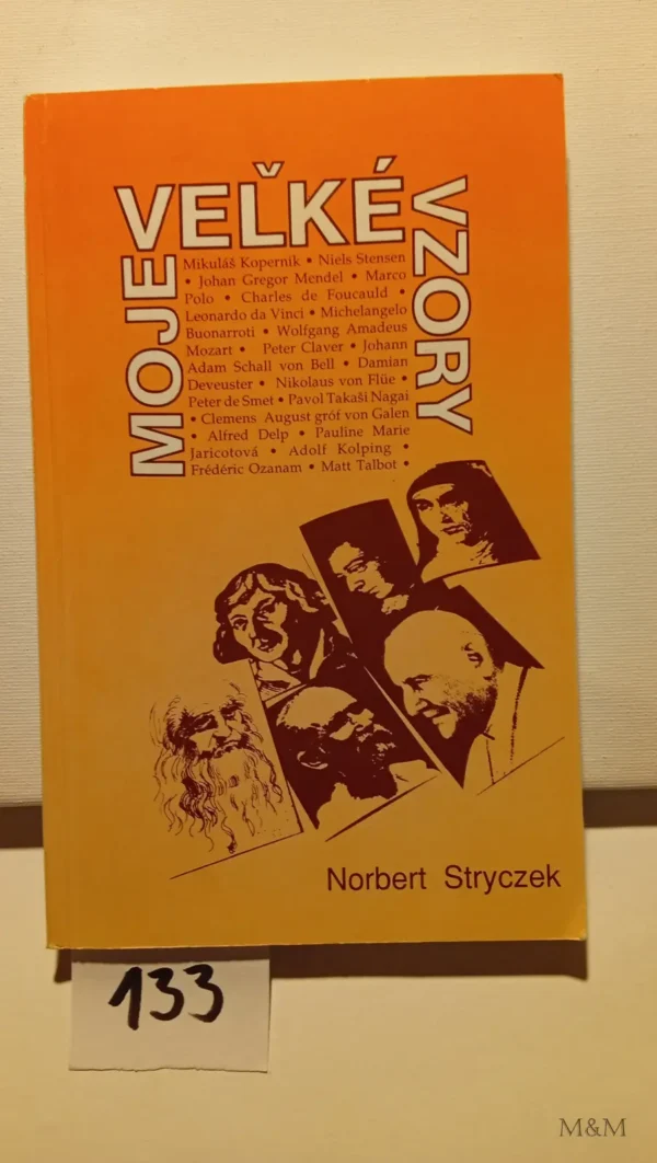 Moje veľké vzory