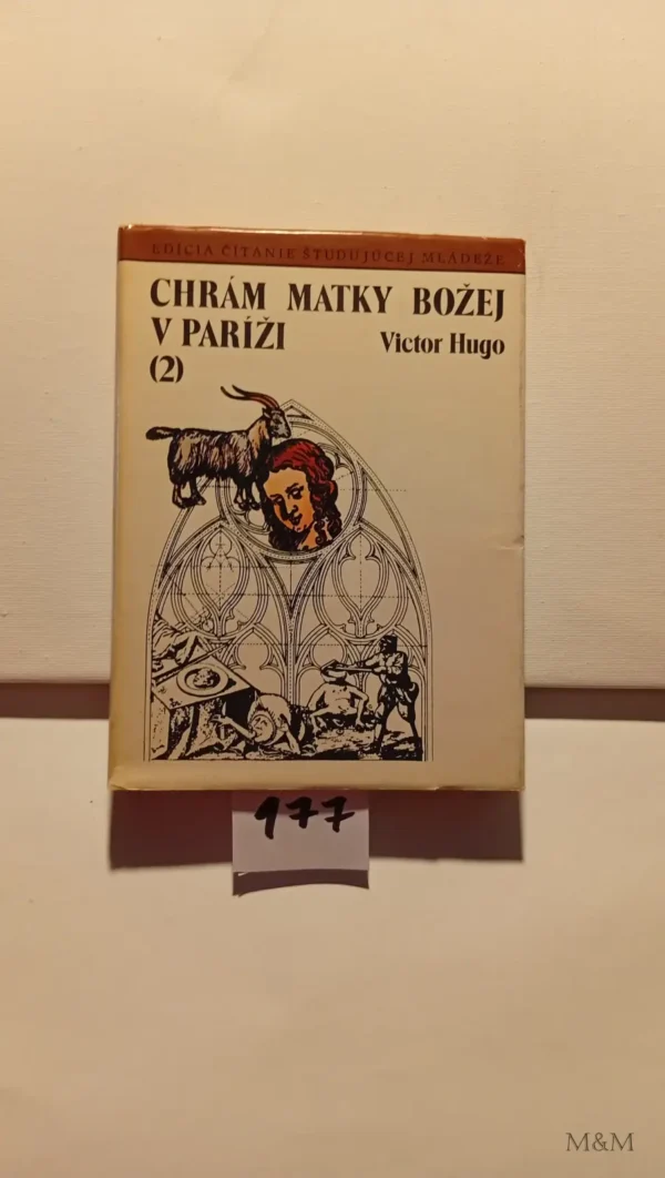Chrám matky božej v paríži 2