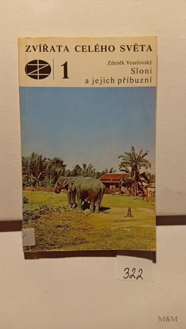 Zvieratá celého sveta 1 slony a ich príbuzní
